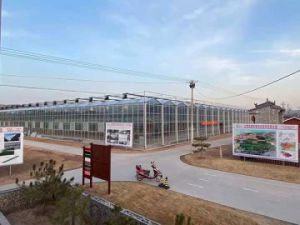 日光温室建设需要考虑那些因素